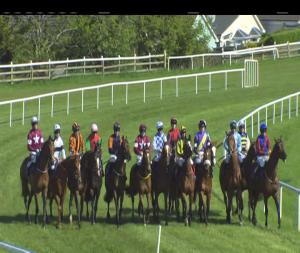 Video preview image for Wexford 17:10 - Welcome To Wexford Racecourse Maiden Hurdle
