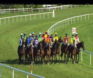 Video preview image for Wexford 17:45 - Rosslare Mares Handicap Hurdle