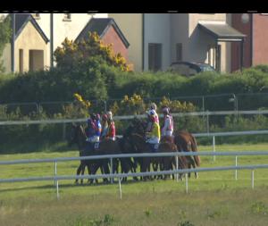 Video preview image for Wexford 18:15 - Slaney Handicap Hurdle