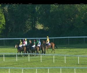 Video preview image for Wexford 19:45 - Vinegar Hill Beginners Chase