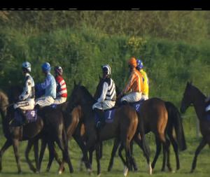 Video preview image for Wexford 20:15 - Irish Stallion Farms European Breeders Fund Handicap Chase