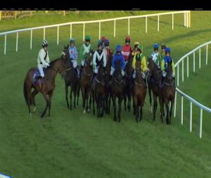 Video preview image for Wexford 20:45 - Racing Again June 6th I.N.H. Flat
