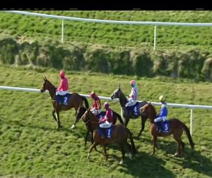 Video preview image for Clonmel 15:50 - Irish Stallion Farms European Breeders Fund Novice Hurdle 