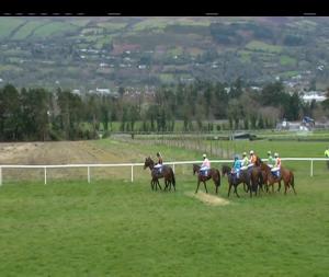 Video preview image for Clonmel 16:50 - Adare Manor Opportunity Handicap Chase 