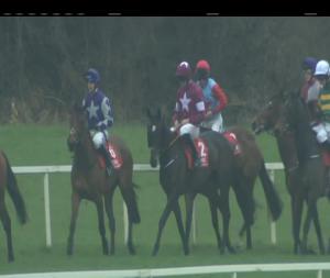 Video preview image for Cork 14:00 - Citsu Fillies Maiden Hurdle 