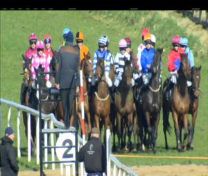 Video preview image for Down Royal 14:25 - Guinness Maiden Hurdle