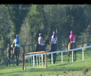 Video preview image for Down Royal 16:30 - Daily Mirror Chase