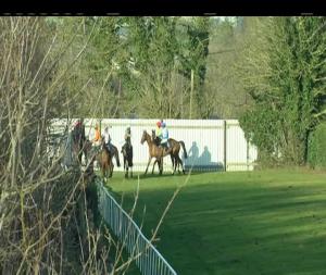 Video preview image for Down Royal 17:05 - Daily Mirror Hunters Chase