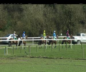 Video preview image for Downpatrick 14:45 - Molson Coors Rated Hurdle 