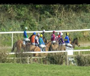 Video preview image for Downpatrick 15:55 - Toals Bookmakers Ulster National Irish European Breeders Fund Handicap Chase 