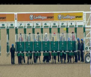 Video preview image for Dundalk 14:00 - Dundalk Stadium Business Club 2018 Maiden 