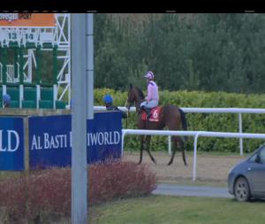 Video preview image for Dundalk 18:00 - Windsor Bar & Restuarant Handicap