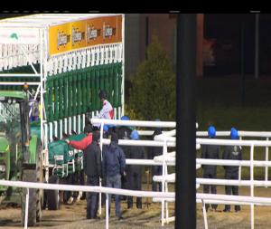 Video preview image for Dundalk 20:30 - Kellihers Electrical Handicap 