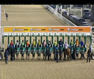 Video preview image for Dundalk 20:30 - irishinjuredjockeys.com Handicap