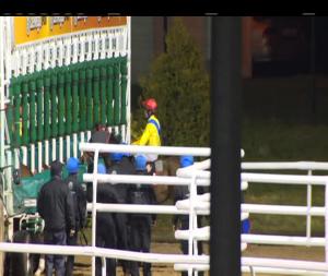 Video preview image for Dundalk 21:00 - At The Races Handicap