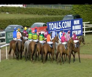 Video preview image for Gowran Park 15:40 - toals.com Bookmakers Leinster National Handicap Chase (Grade A)