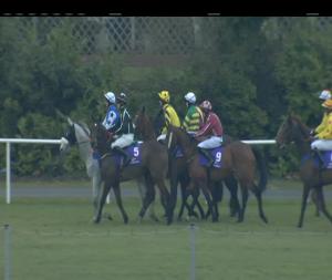 Video preview image for Leopardstown 16:05 - Adare Manor Opportunity Handicap Chase