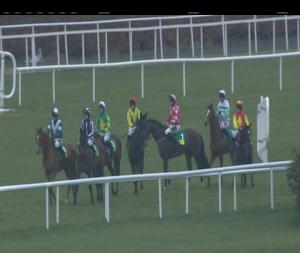 Video preview image for Leopardstown 17:10 - Trm Excellence In Equine Nutrition (Pro/Am) I.N.H. Flat