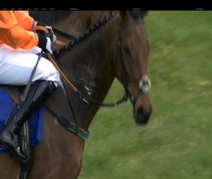 Video preview image for Limerick 14:35 - Kerry Group European Breeders Fund Shannon Spray Mares Novice Hurdle (Grade 3) 