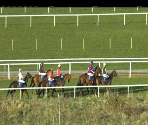 Video preview image for Limerick 17:20 - Buy Twilight Racing Tickets Online (Pro/Am) I.N.H. Flat 