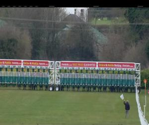 Video preview image for Naas 16:50 - Tote Irish Lincolnshire (Premier Handicap)