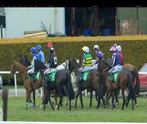 Video preview image for Navan 16:05 - Irish Stallion Farms European Breeders Fund Novice Handicap Chase Final (Grade B)