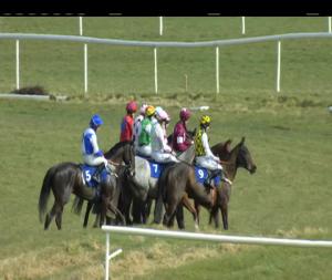 Video preview image for Thurles 14:10 - Devil's Bit Beginners Chase