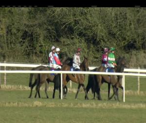 Video preview image for Thurles 16:20 - I.N.H. Stallion Owners European Breeders Fund Maiden Hurdle