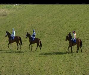 Video preview image for Thurles 16:30 - Enjoy White Gypsy @ Finns Borrisoleigh Hurdle