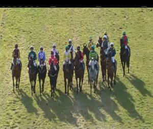 Video preview image for Thurles 17:05 - Bill Dowling Memorial Handicap Hurdle 