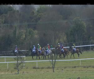 Video preview image for Wexford 15:05 - Neville Hotels Novice Handicap Hurdle 