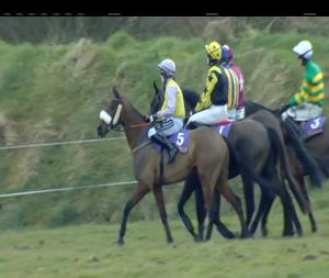 Video preview image for Wexford 16:50 - Barry Ennis Memorial Novice Handicap Chase