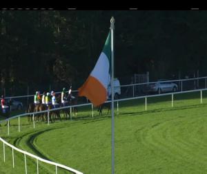 Video preview image for Clonmel 13:20 - Clonmel Oil Race Day Handicap Hurdle 