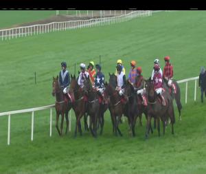 Video preview image for Cork 12:45 - I.N.H. Stallion Owners European Breeders Fund Maiden Hurdle 