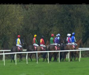 Video preview image for Cork 14:30 - I.N.H. Stallion Owners European Breeders Fund Beginners Chase 