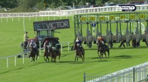 Video preview image for Ballinrobe 18:50 - BetVictor Apprentice Handicap