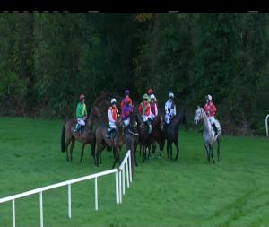 Video preview image for Cork 15:45 - Paddy Power Onside App Handicap Chase