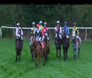 Video preview image for Cork 16:20 - Christmas Party Packages December 10th Mares (Pro/Am) I.N.H. Flat