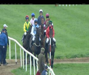 Video preview image for Down Royal 13:15 - Lough Construction Ltd. Irish European Breeders Fund Mares Novice Hurdle (Grade 3)