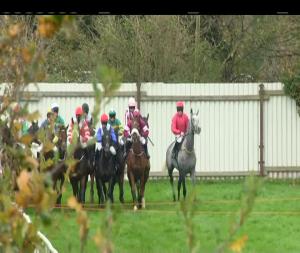 Video preview image for Down Royal 15:00 - Porter & Co. Beginners Chase