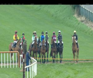 Video preview image for Down Royal 15:35 - Toals Bookmakers Handicap Chase