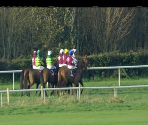 Video preview image for Down Royal 14:30 - jnwine.com Champion Chase (Grade 1)