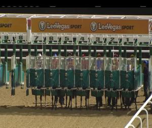 Video preview image for Dundalk 17:30 - Irish Stallion Farms European Breeders Fund Maiden