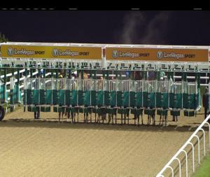 Video preview image for Dundalk 17:30 - Dundalk Stadium - Light Up Your Night Handicap