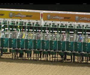 Video preview image for Dundalk 17:30 - www.dundalkstadium.com Handicap