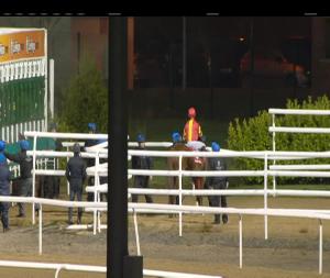 Video preview image for Dundalk 18:00 - Floodlit Friday Nights Rated