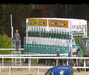 Video preview image for Dundalk 18:55 - Christmas Party Nights At Dundalk Stadium Handicap 