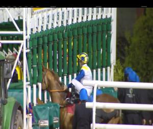 Video preview image for Dundalk 19:00 - Floodlit Friday Nights Maiden