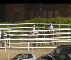 Video preview image for Dundalk 19:30 - Joe Wall's 70th Birthday Nursery Handicap 