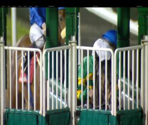 Video preview image for Dundalk 19:55 - Dkit Students Union Race Night Maiden